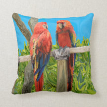 Scarlet Macaw Parrots Perching