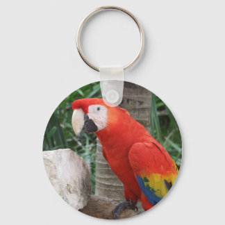 Scarlet Macaw Photography Keychain