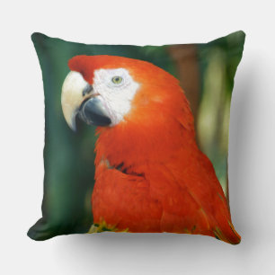 Scarlet Macaw Throw Pillow