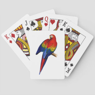 Scarlet Macaw Tropical Colourful Rain Forest Bird Playing Cards