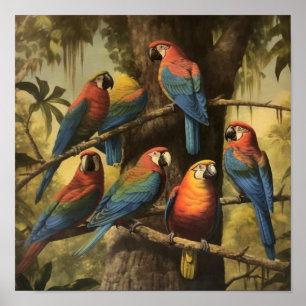 Scarlet Macaw Wildlife Study Deep Jungle Botanical Poster