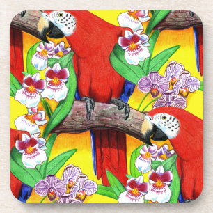 Scarlet McCaw Coaster