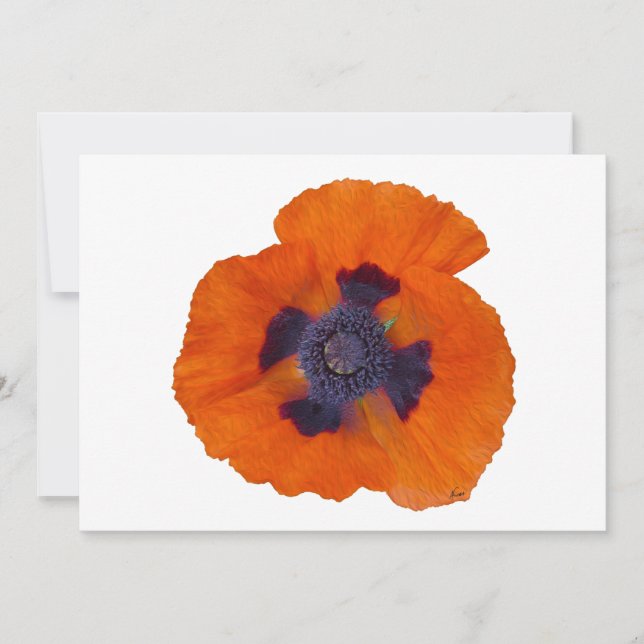 Scarlet Orange Poppy 1 (Front)
