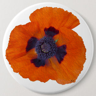 Scarlet Orange Poppy 1 6 Inch Round Button