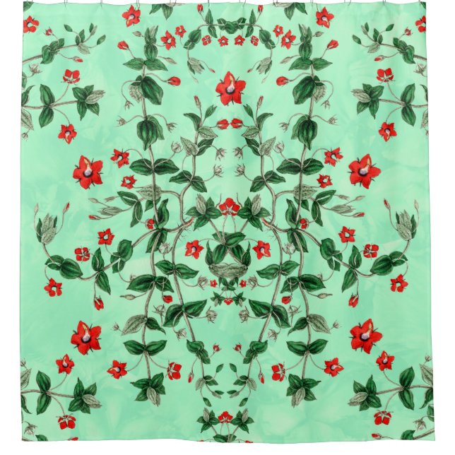 Scarlet Pimpernel (Front)
