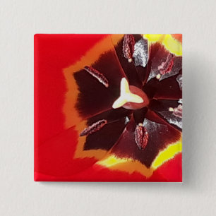 Scarlet Red Tulip 2 Inch Square Button