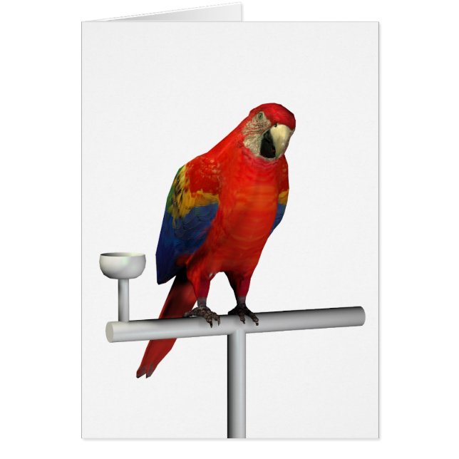 Scarlet rouge Macaw (Devant)