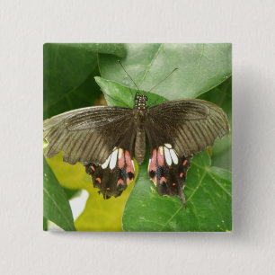 Scarlet Swallowtail Butterfly Button