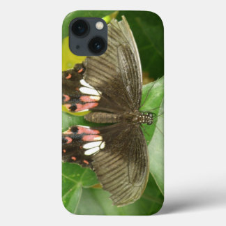Scarlet Swallowtail Butterfly iPad Case