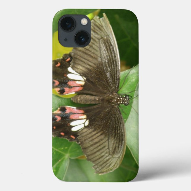Scarlet Swallowtail Butterfly iPad Case (Back)