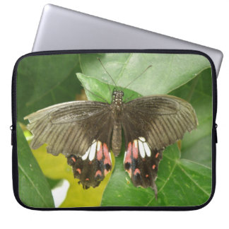 Scarlet Swallowtail Butterfly Laptop Sleeve