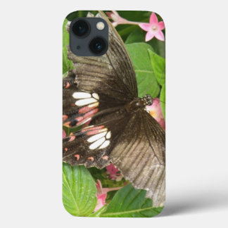 Scarlet Swallowtail Butterfly Macro iPad Case