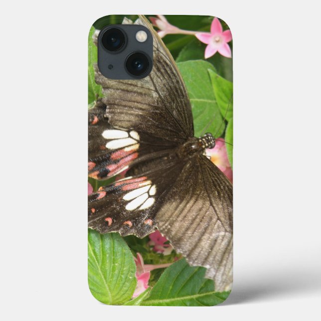 Scarlet Swallowtail Butterfly Macro iPad Case (Back)