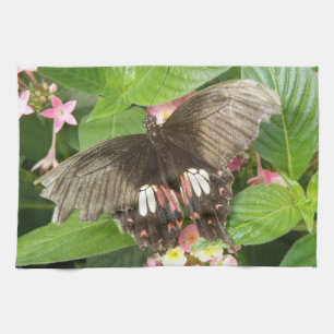 Scarlet Swallowtail Butterfly Macro Serviette de c