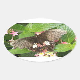 Scarlet Swallowtail Butterfly Macro Stickers