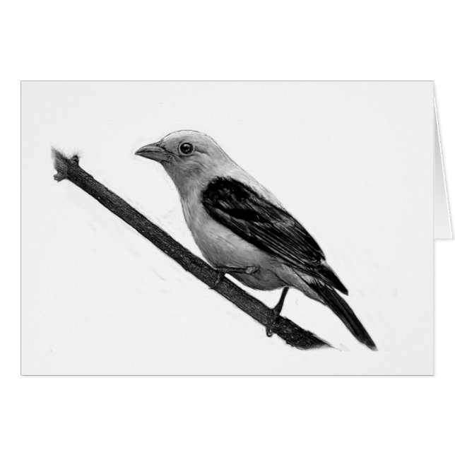 Scarlet Tanager (Front Horizontal)