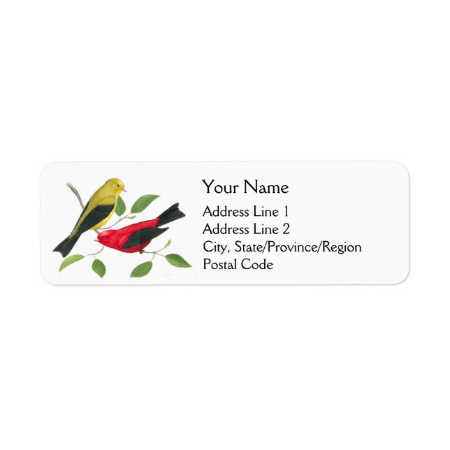 Scarlet Tanager Birager Adresse de retour Label (Devant)