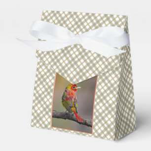 Scarlet Tanager Molting - Original Photograph Favor Box