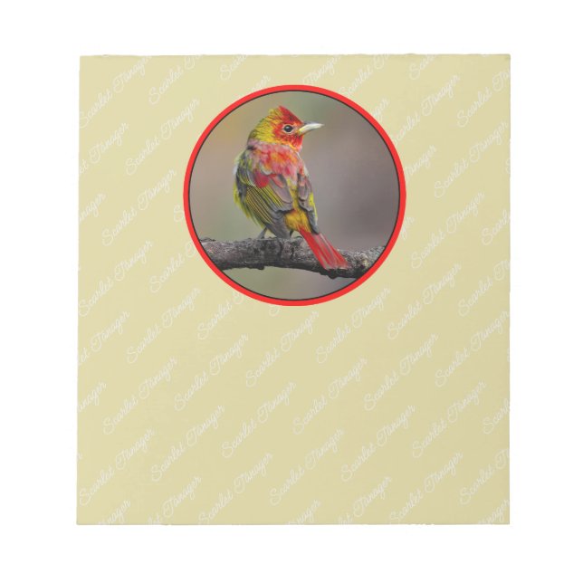 Scarlet Tanager Molting - Original Photograph Notepad (Front)