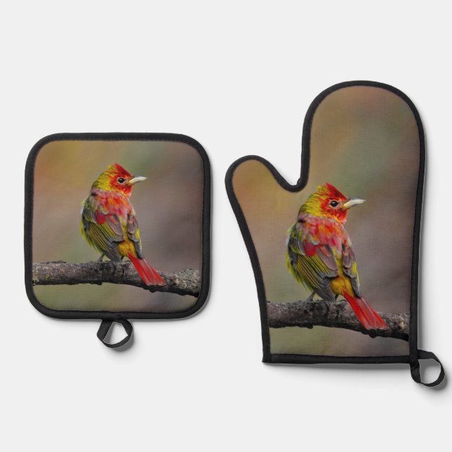 Scarlet Tanager Molting Original Photograph Oven Mitt & Pot Holder Set (Front)