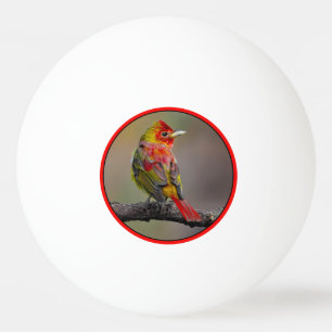 Scarlet Tanager Molting - Original Photograph Ping Pong Ball