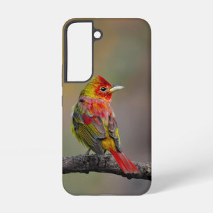 Scarlet Tanager Molting - Original Photograph Samsung Galaxy Case