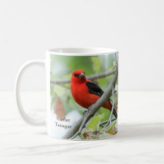 Scarlet Tanager Mug by BirdingCollectibles