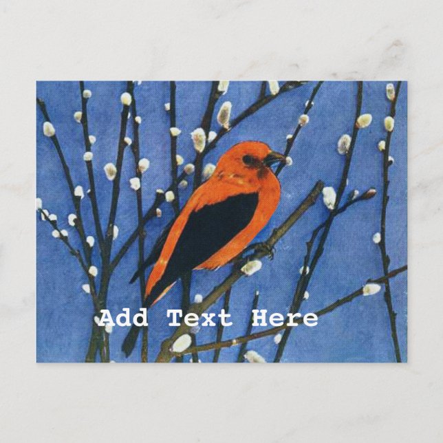 Scarlet Tanager Postcard (Front)
