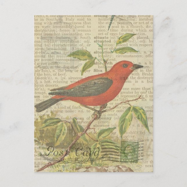 Scarlet Tanager Vintage Bird Birdcage Dragonfly Postcard (Front)