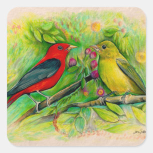 Scarlet Tanagers Bird Art Square Sticker