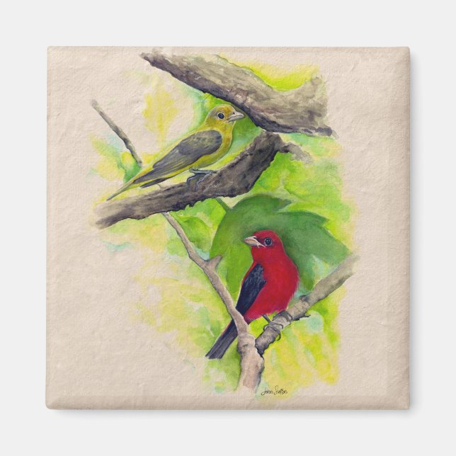 Scarlet Tanagers Birds Watercolor Painting Magnet (Front)