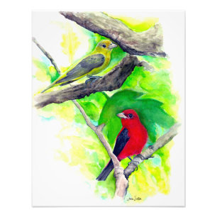 Scarlet Tanagers Birds Watercolor Painting Photo Print