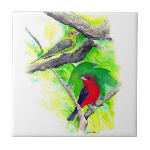 Scarlet Tanagers Birds Watercolor Painting Tile