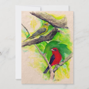 Scarlet Tanagers Oiseaux Aquarelle Merci