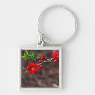 Scarlet Top Keychain