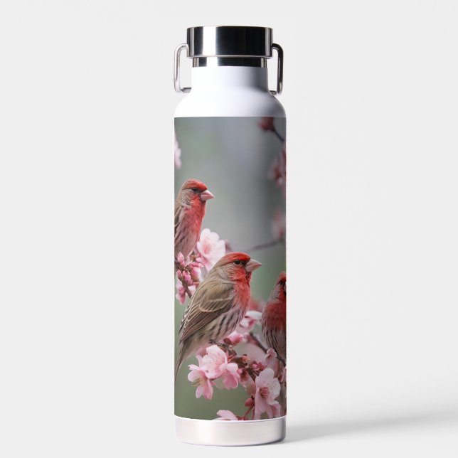 "Scarlet Trio: Red Finches Among Pink Blossoms" Water Bottle (Front)