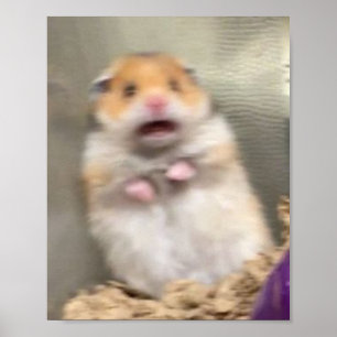 Scarred Hamster Poster