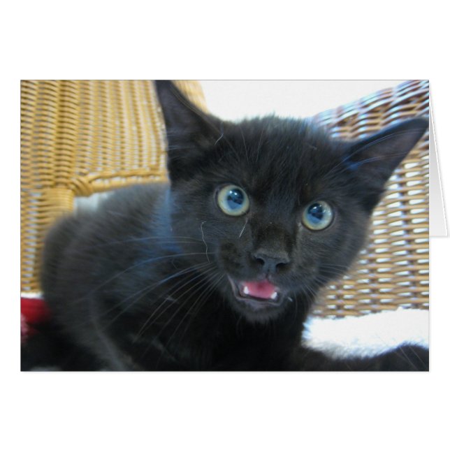 Scary (Front Horizontal)