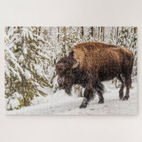 Scary Bison (Bison bison) - Buffalo - 1014 piece