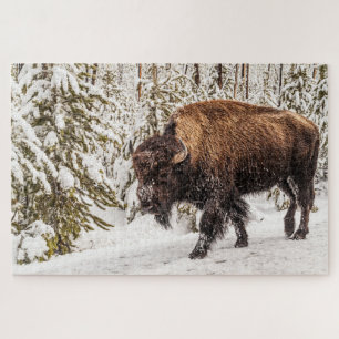 Scary Bison (Bison bison) - Buffalo - 1014 piece Jigsaw Puzzle