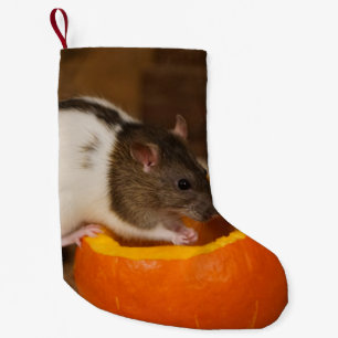 scary Black Hooded rat eating pumpkin seeds Small Christmas Stocking