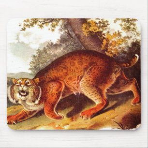 scary bobcat mouse pad