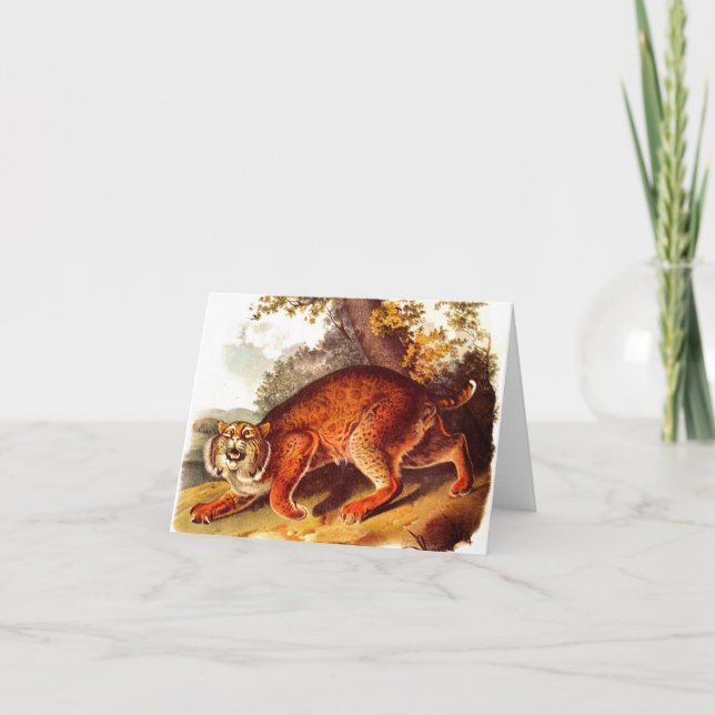 scary bobcat note card (Front)