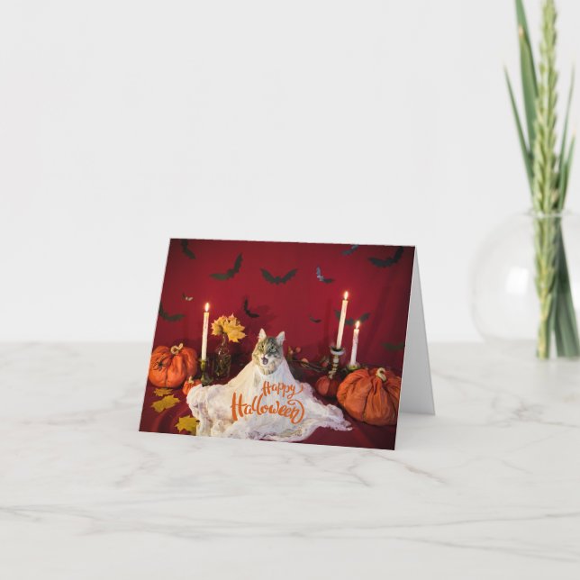 Scary Cat in Funny Halloween Costume  Card (Front)