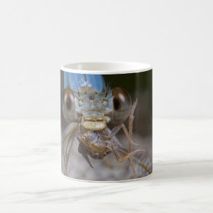 Scary Damselfly Mug