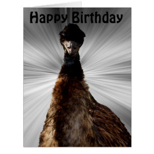 Scary Emu Stare Down, Jumbo Birthday Card