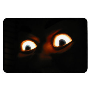 scary eyes magnet