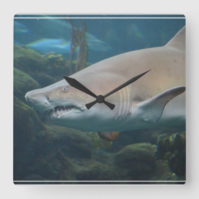 Scary Great White Shark Square Wall Clock (Front)