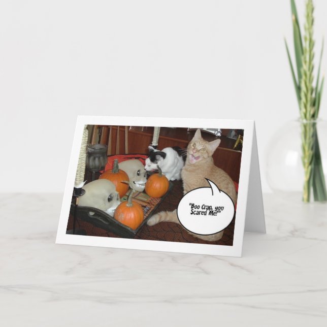 Scary Halloween Cats Card (Front)