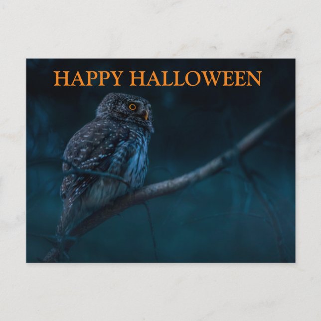 Scary Halloween Night with Owls Postcard (Front)